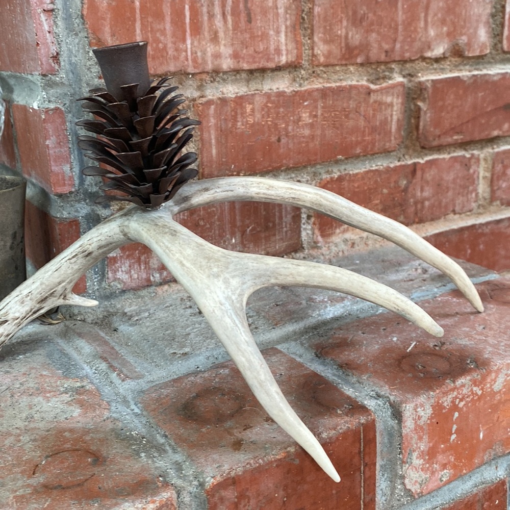 Earthy antler pine cone taper candle holder